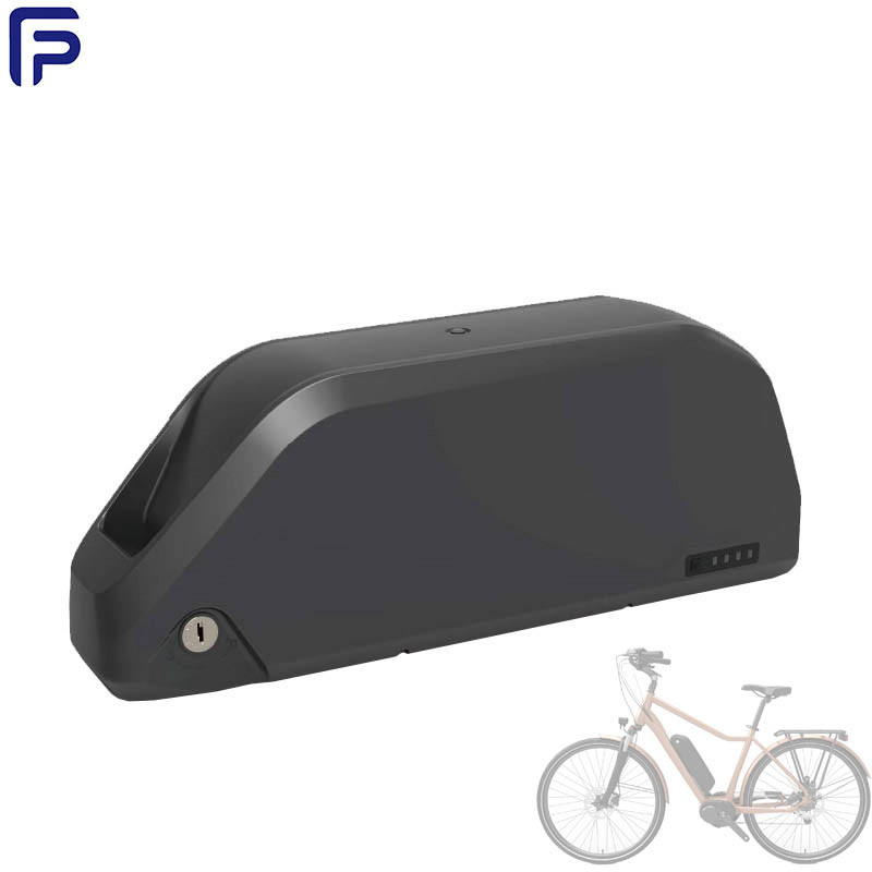 Li Ion 48v 21ah Ebike Battery , Electric Bicycle Battery Pack ODM